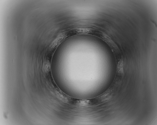 X0000102230474200808011229