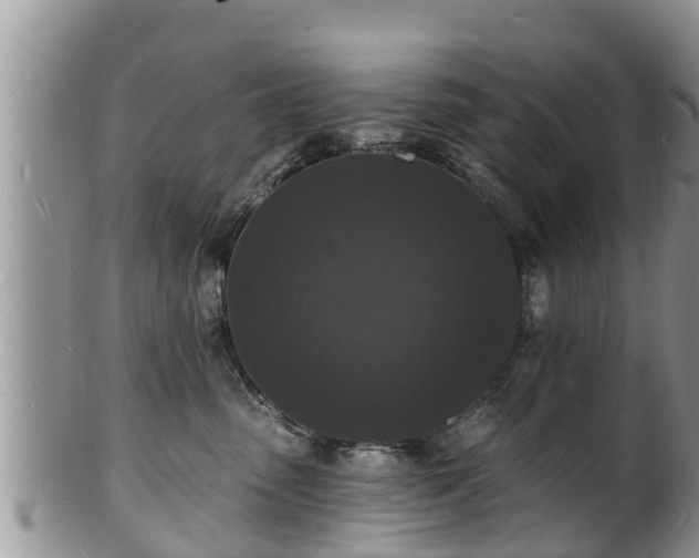 X0000102230475200808011229