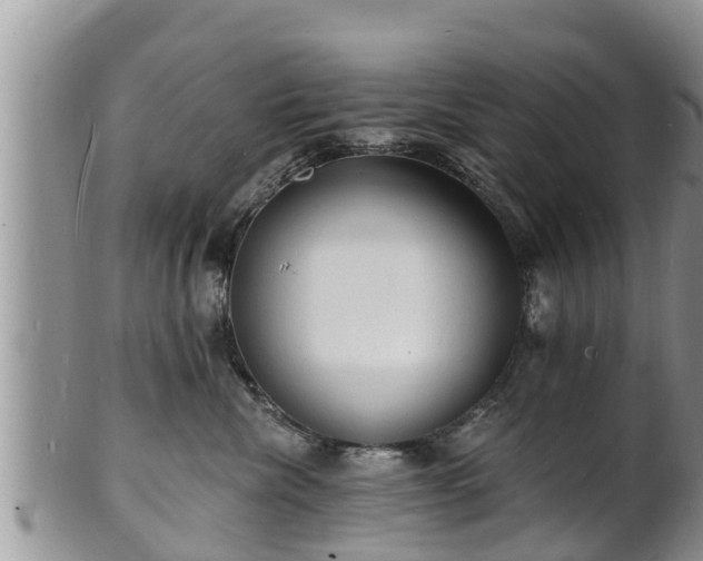X0000102230476200808011229