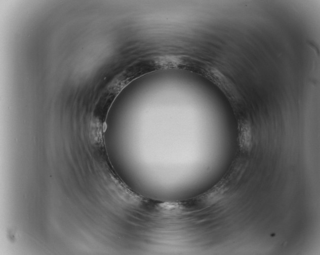 X0000102230477200808011229
