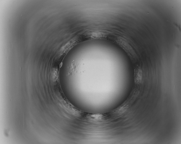 X0000102230478200808011229