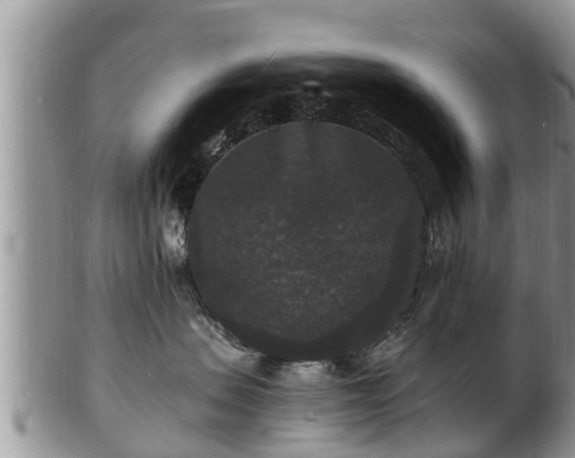 X0000102230479200808011229