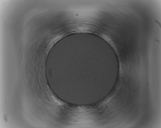 X0000102230481200808011229