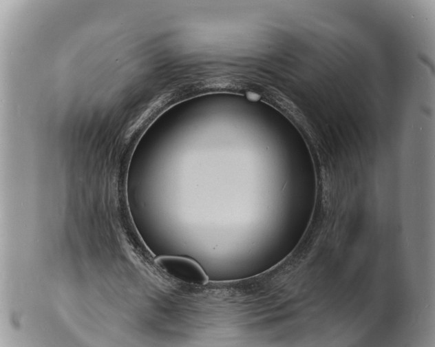 X0000102230482200808011229