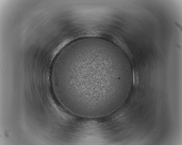 X0000102230483200808011229