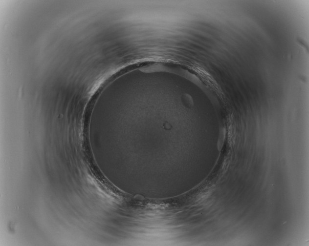 X0000102230484200808011229