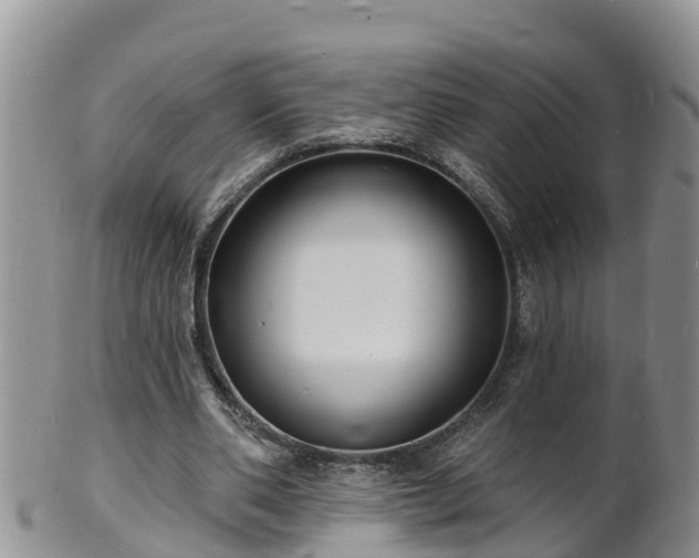 X0000102230486200808011229