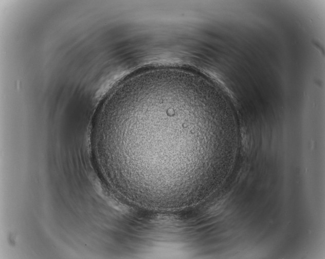 X0000102230487200808011229