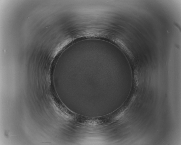 X0000102230488200808011229