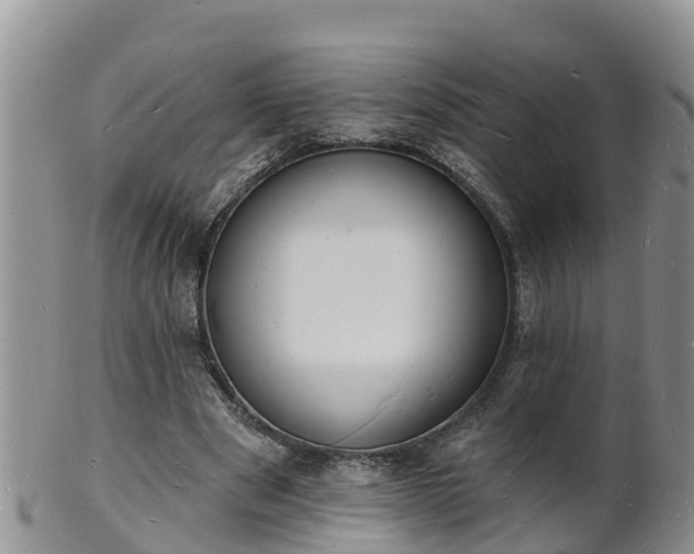 X0000102230489200808011229