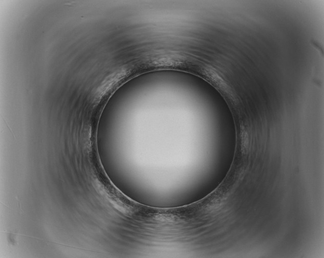 X0000102230490200808011229