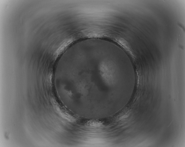 X0000102230491200808011229