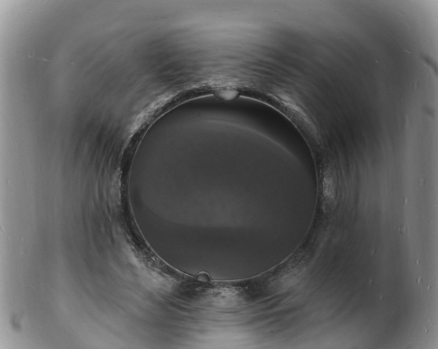 X0000102230492200808011229