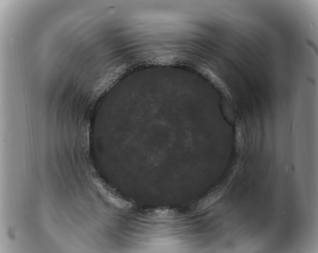 X0000102230493200808011228