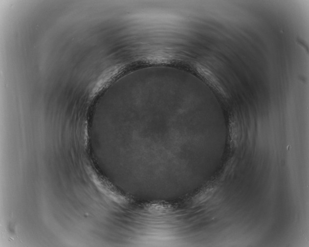 X0000102230494200808011228