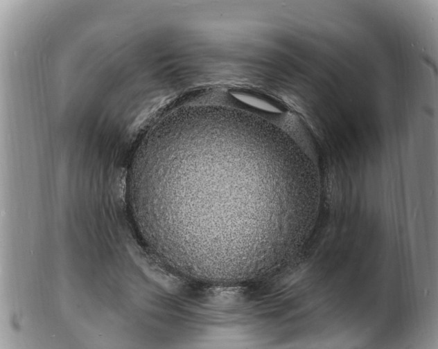 X0000102230495200808011228