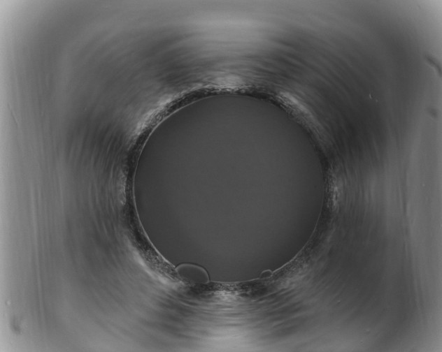 X0000102230496200808011228
