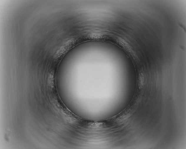 X0000102230497200808011228