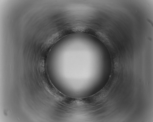 X0000102230498200808011228
