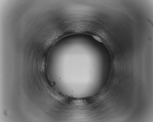 X0000102230499200808011228