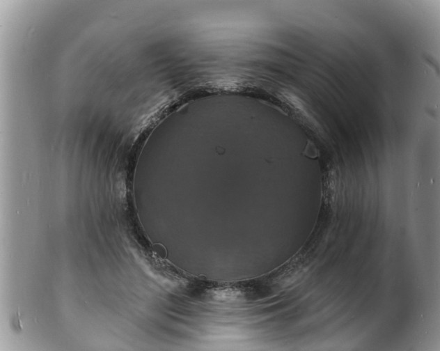 X0000102230500200808011228