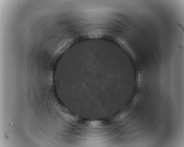 X0000102230501200808011228