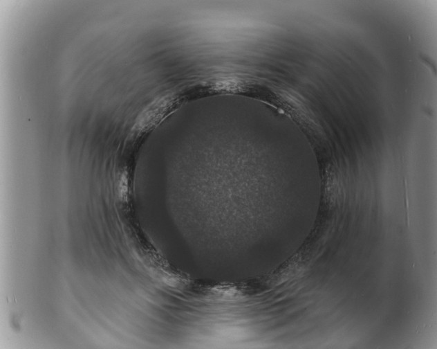 X0000102230502200808011228