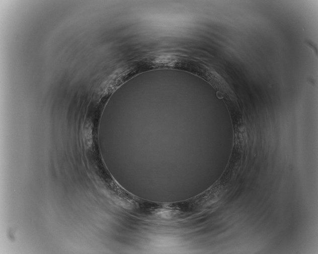X0000102230504200808011228