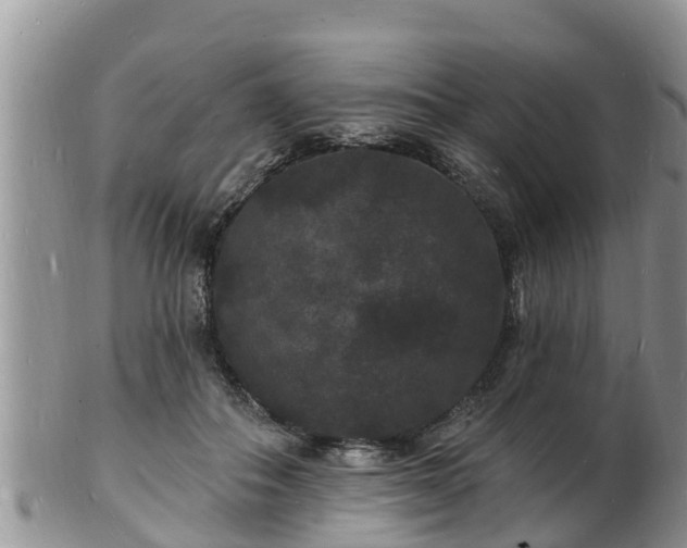 X0000102230506200808011228