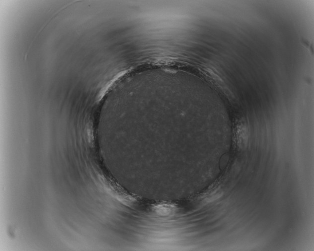X0000102230508200808011228