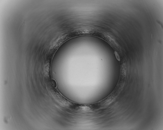 X0000102230509200808011228