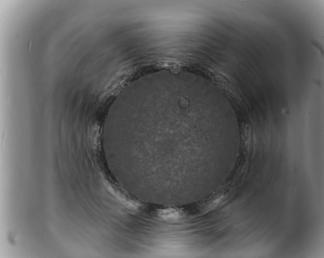 X0000102230511200808011228