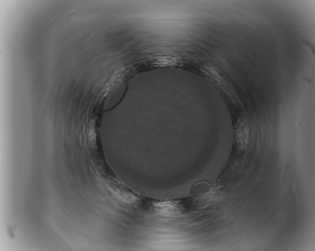X0000102230516200808011228