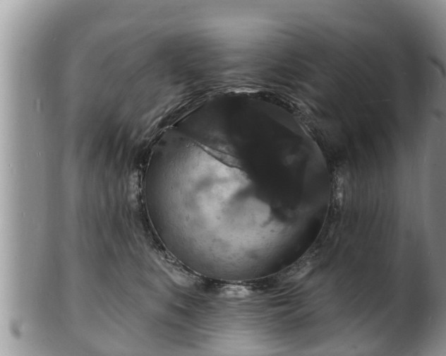 X0000102230519200808011228