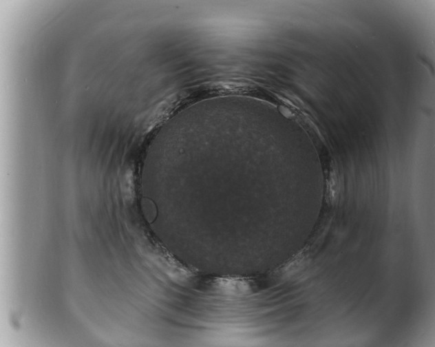 X0000102230520200808011228