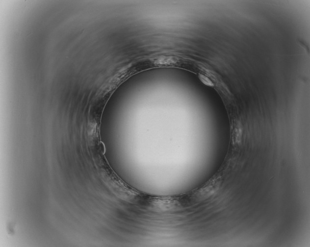 X0000102230521200808011228
