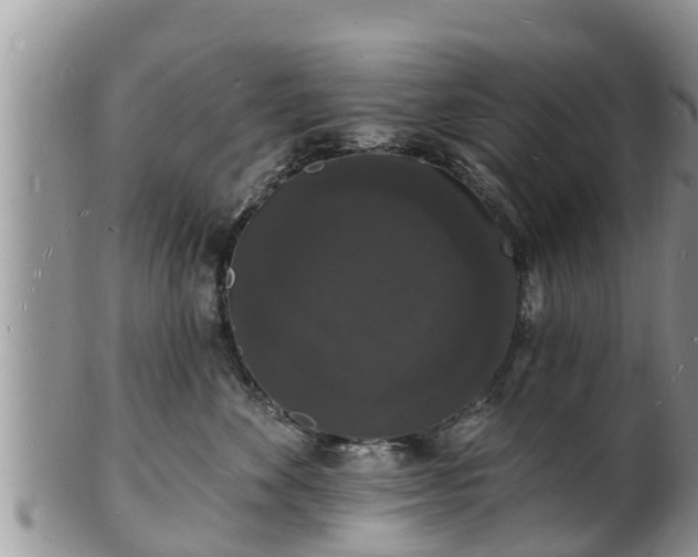 X0000102230524200808011228