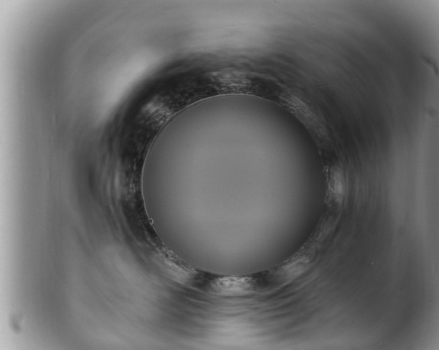 X0000102230526200808011228