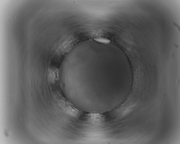 X0000102230528200808011228