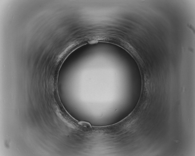 X0000102230530200808011227