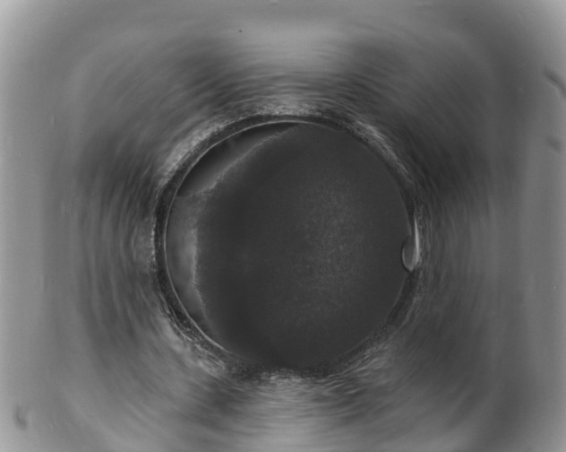 X0000102230531200808011227