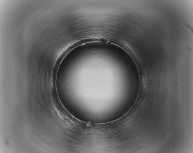 X0000102230532200808011227