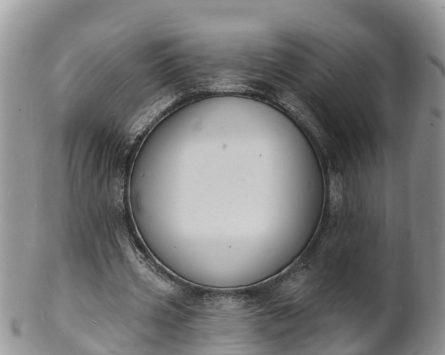 X0000102230533200808011227
