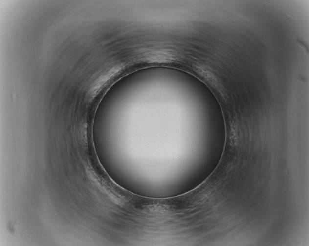 X0000102230535200808011227