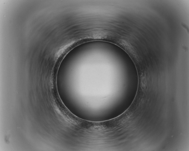 X0000102230536200808011227