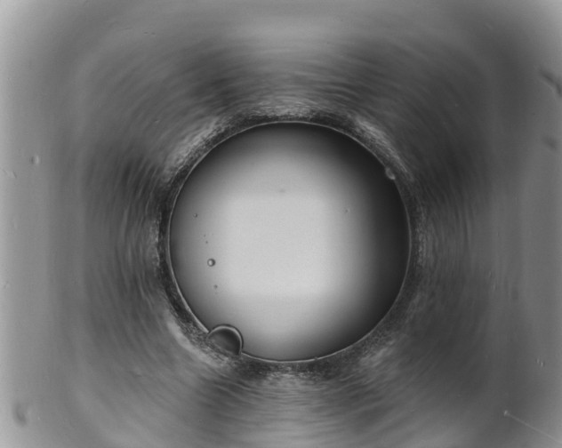 X0000102230538200808011227