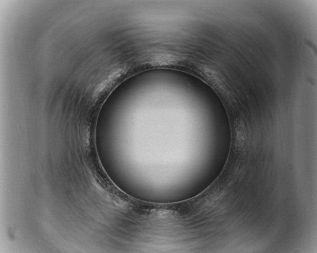 X0000102230539200808011227