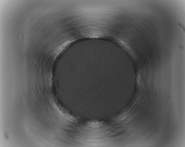 X0000102230540200808011227