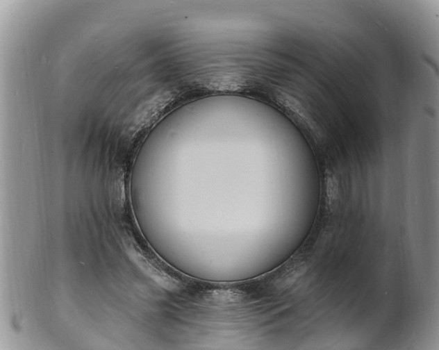 X0000102230541200808011228