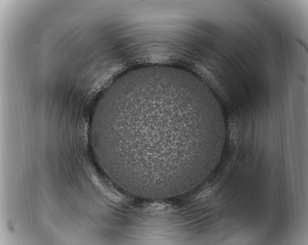 X0000102230542200808011228